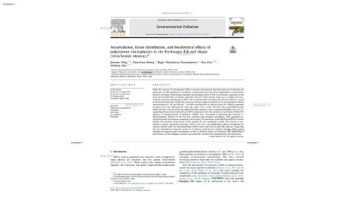 Accumulation, tissue distribution, and biochemical effects of polystyrene microplastics in the freshwater fish red tilapia (Oreochromis niloticus)*